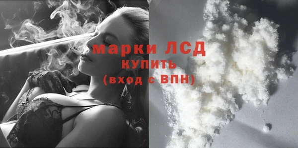 стаф Волосово