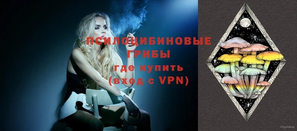 стаф Волосово