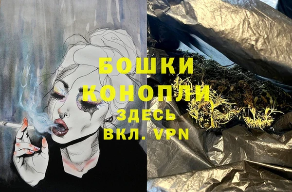 стаф Волосово