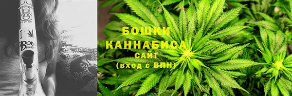 мдпв Волоколамск